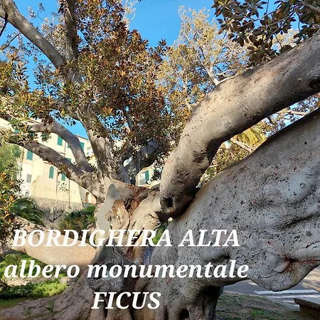 Emozioni Casa Vista Mare Apartment Bordighera
